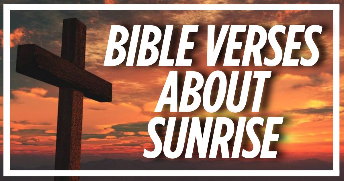 40 Bible Verses About Sunrise (Explained)