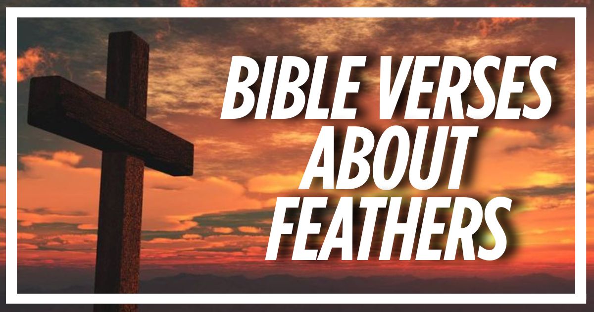 55 Bible Verses About Feathers