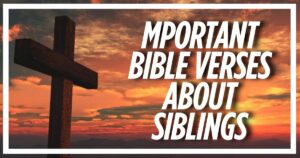 41 Important Bible Verses About Siblings