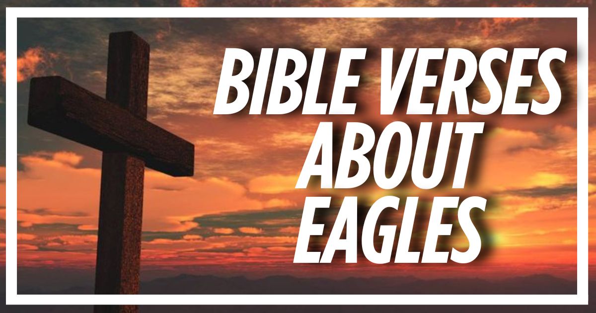 Bible Verses About Eagles