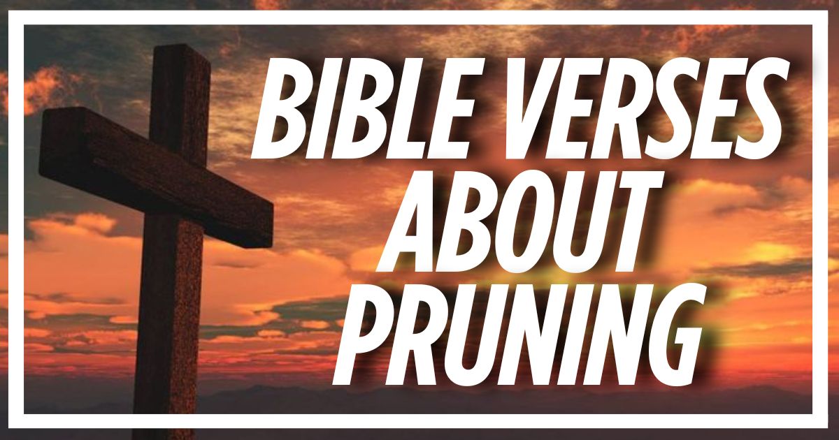 Bible Verses About Pruning