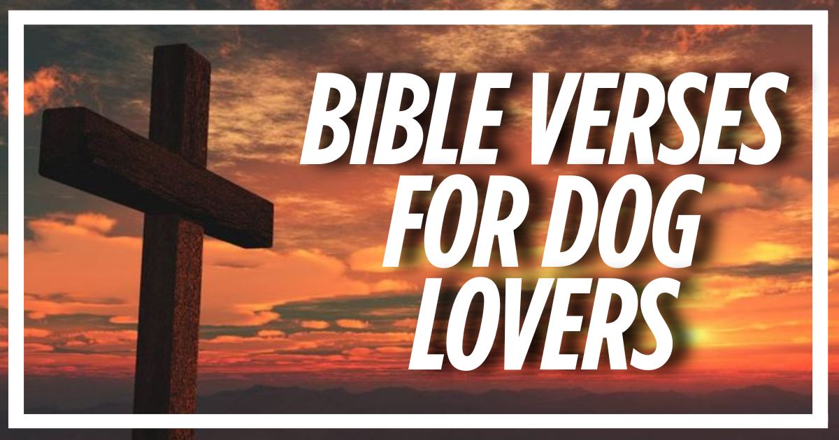Bible Verses For Dog Lovers