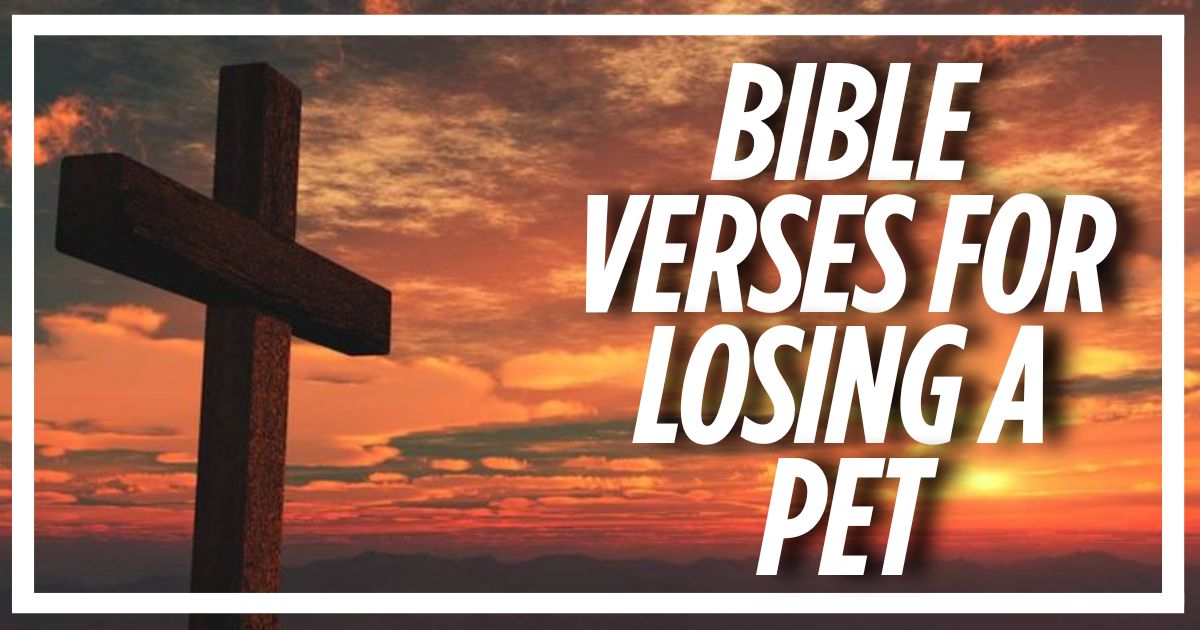 Bible Verses For Losing A Pet 